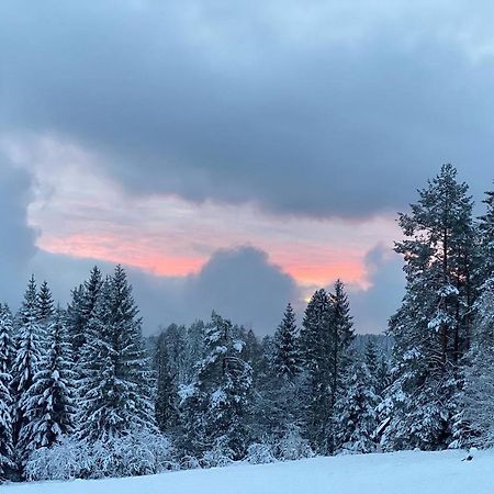Schwarzwald Wohnung Kniebis Freudenstadt Dış mekan fotoğraf
