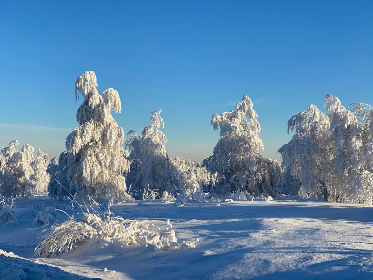 Schwarzwald Wohnung Kniebis Freudenstadt Dış mekan fotoğraf