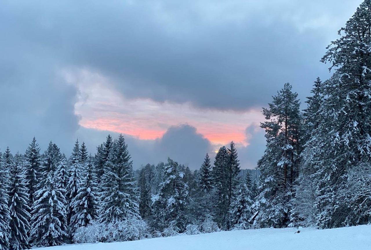 Schwarzwald Wohnung Kniebis Freudenstadt Dış mekan fotoğraf