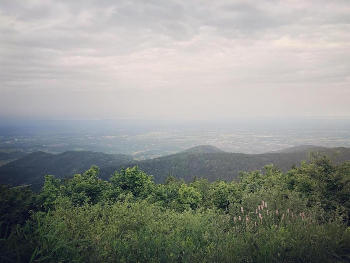 Schwarzwald Wohnung Kniebis Freudenstadt Dış mekan fotoğraf