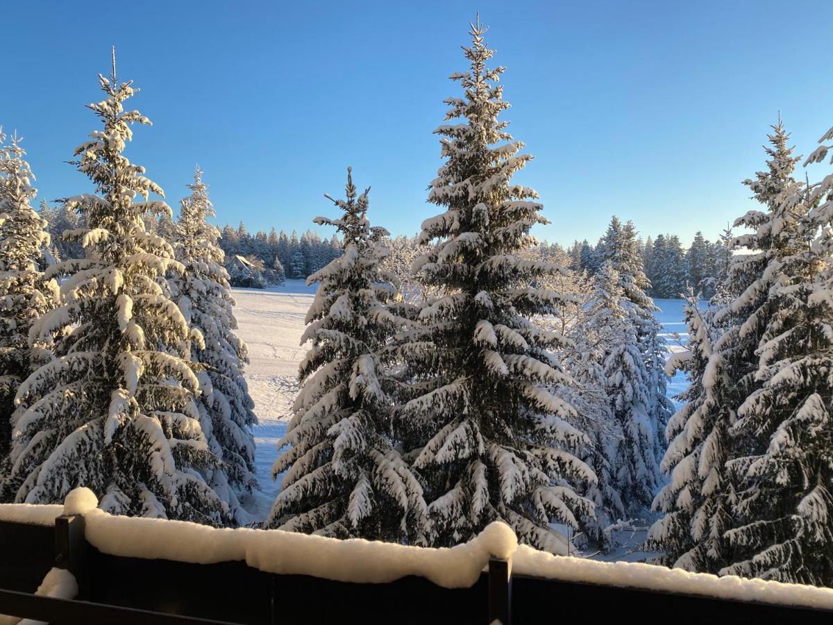 Schwarzwald Wohnung Kniebis Freudenstadt Dış mekan fotoğraf