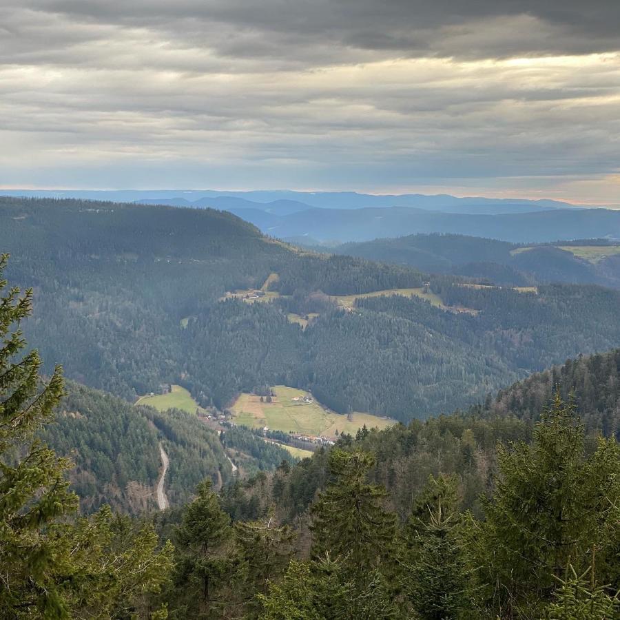 Schwarzwald Wohnung Kniebis Freudenstadt Dış mekan fotoğraf